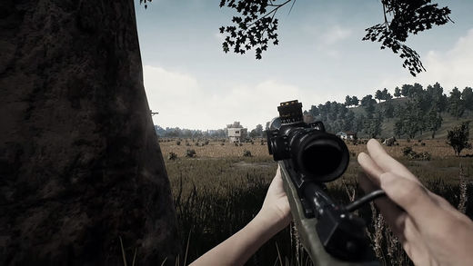 pubg survive