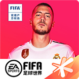 fifa足球世界国际服