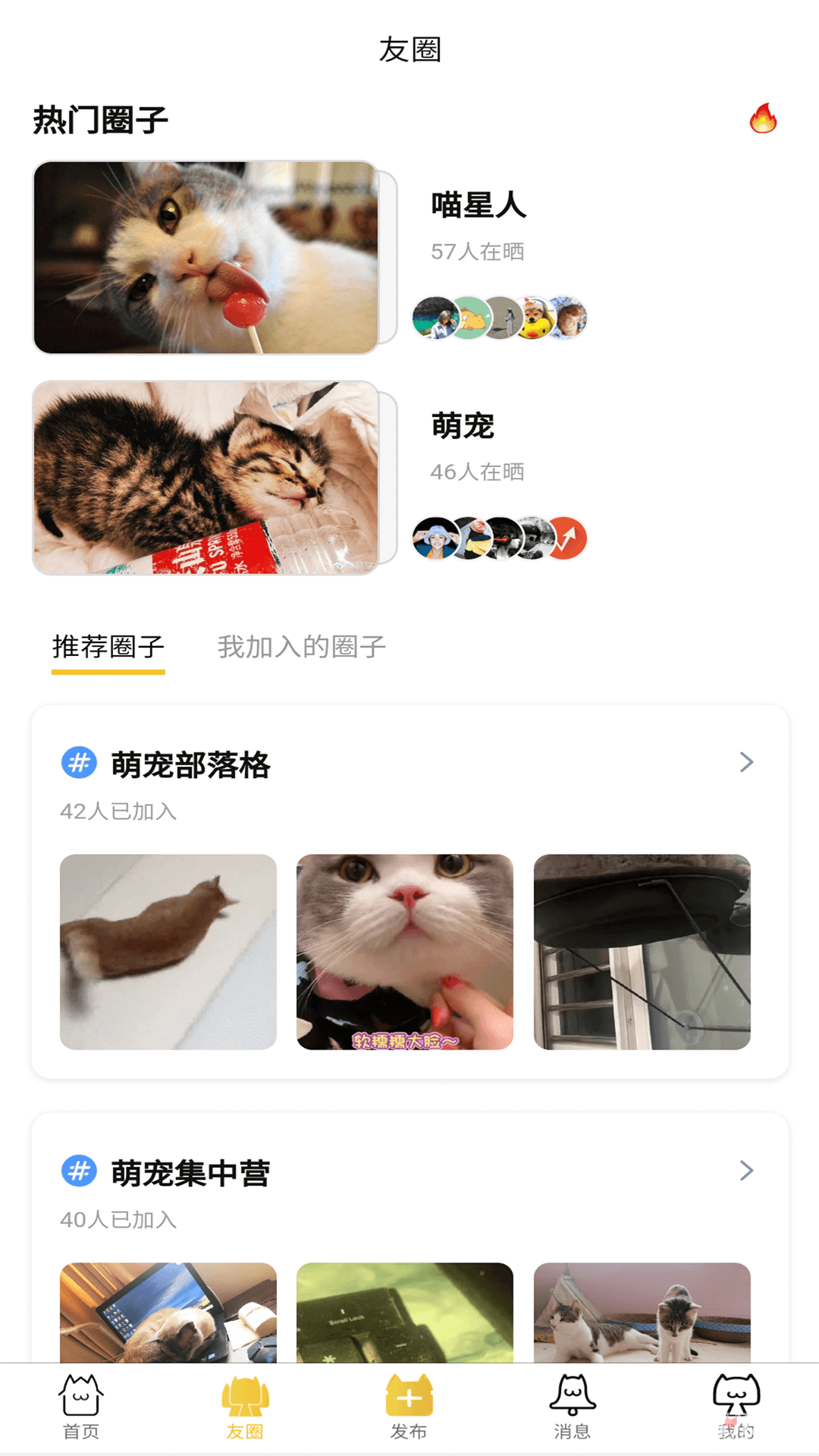 友猫