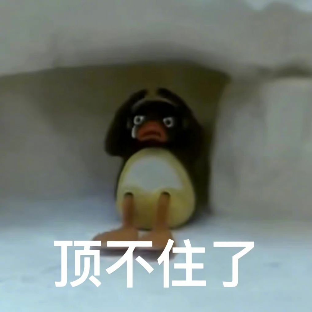 pingu企鹅家族