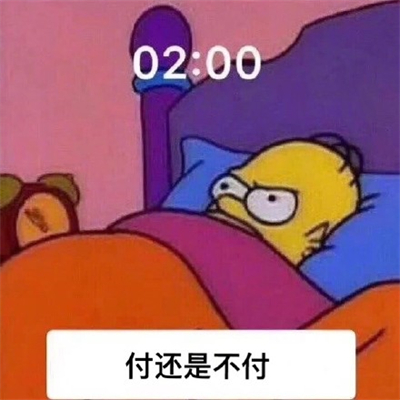 双十一在逃尾款人