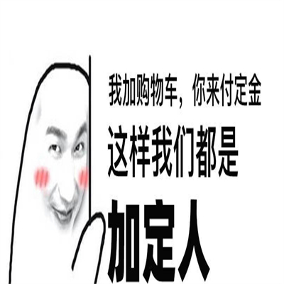 双十一加定人