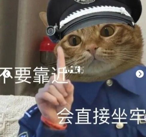 猫咪警察指人表情包