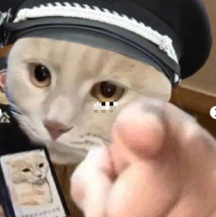 猫咪警察指人表情包