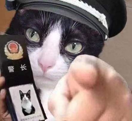 猫咪警察指人表情包