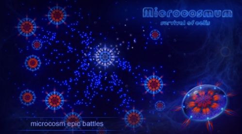 microcosmum