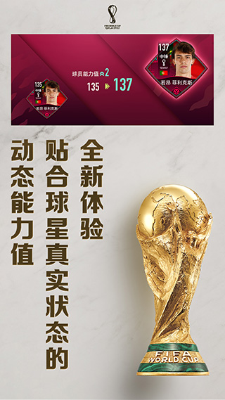 fifa足球世界杯2022