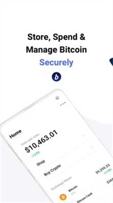 bitpay