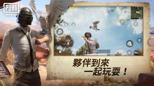 pubg台服