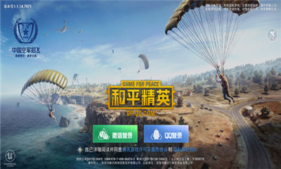 game for peace游戏