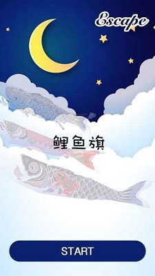 carp flag鲶鱼旗