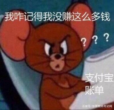 看完年度账单的我图片