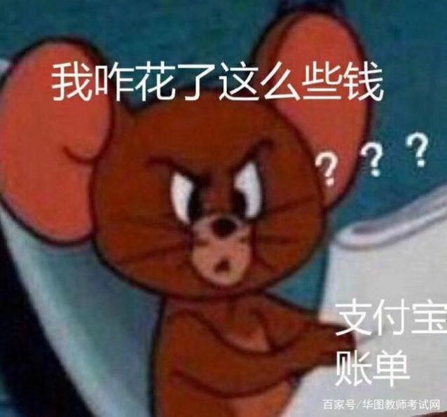 看完年度账单的我图片