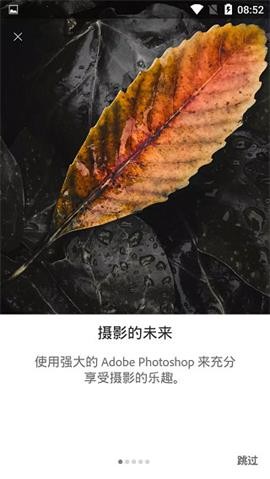 lightroom手机修图软件