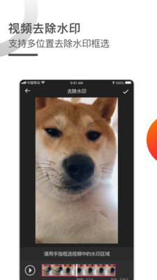 视频去水印专家