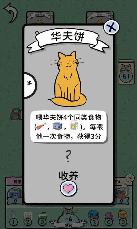 猫咪女士