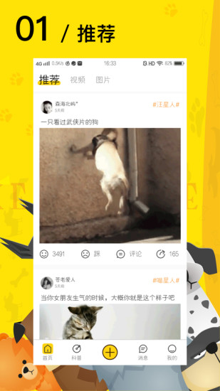 爱宠星球（爱宠网官方APP）