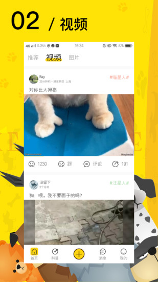 爱宠星球（爱宠网官方APP）