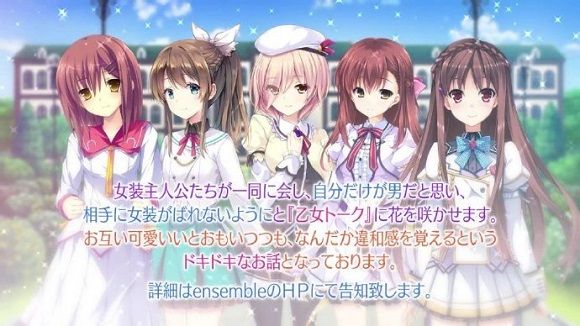 少女结成的月夜闪烁中文汉化版