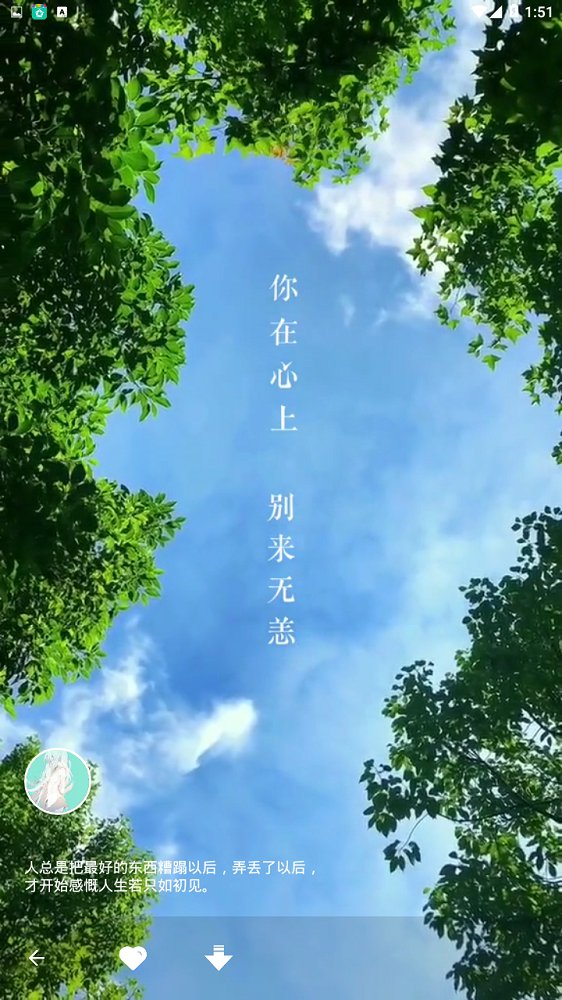 动态墙纸