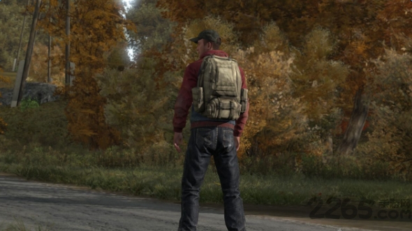 dayz