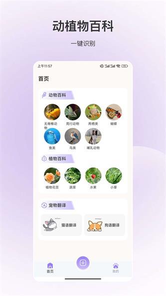 动物识别v2.0.1