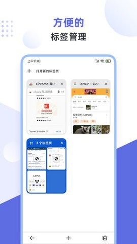 狐猴浏览器app