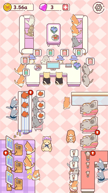 cat hotel