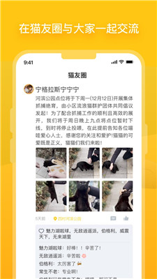 街猫app