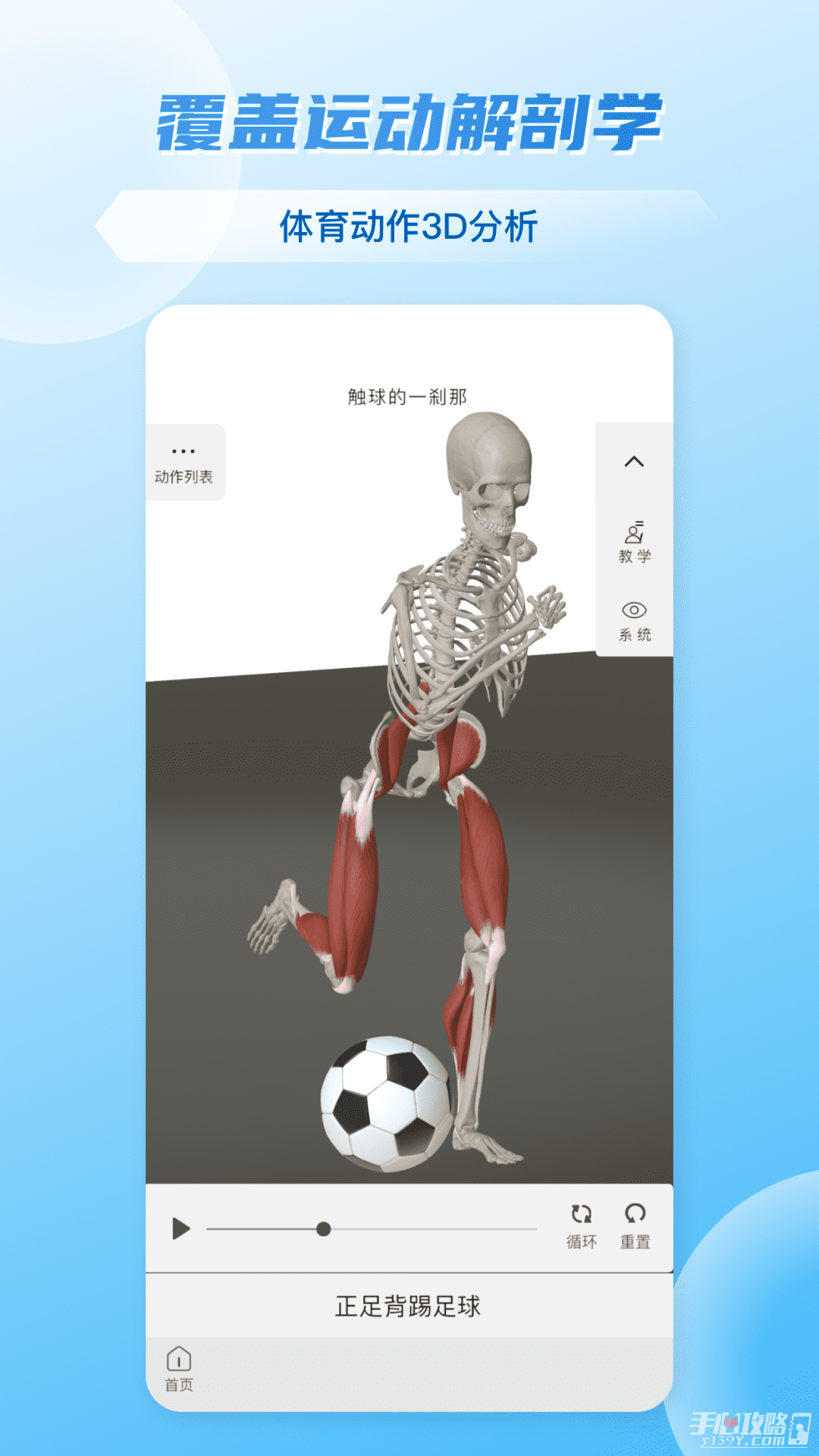 维萨里3d解剖