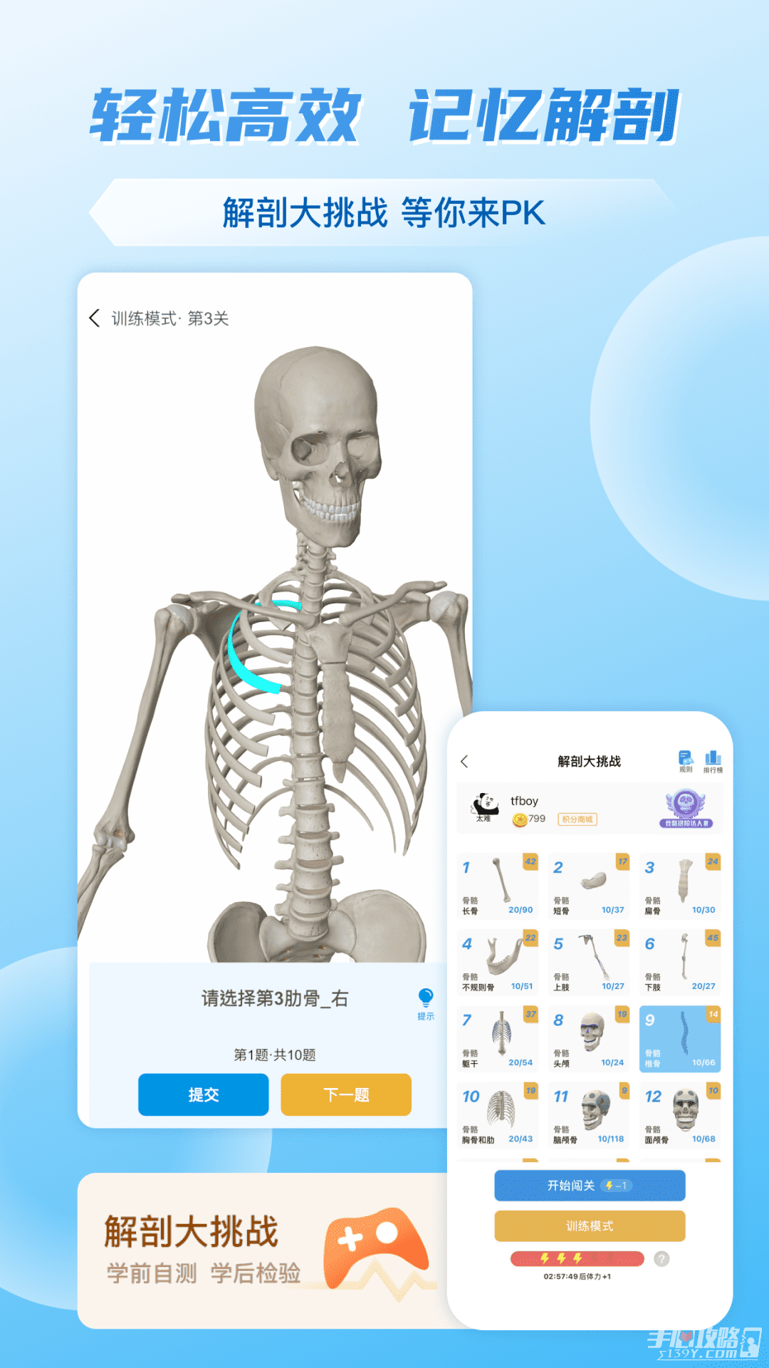 维萨里3d解剖