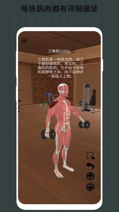 3d健身动画