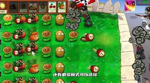 pvz二战版