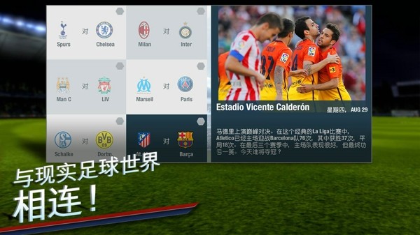 fifa14中文版苹果